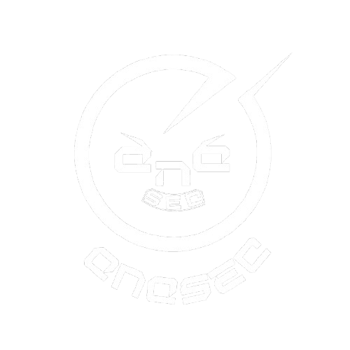 Challenge airspeed - QnQSec25 Writeup 