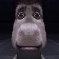 donkey meme