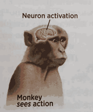 hehe neuron activation